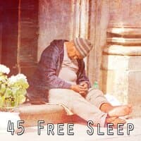 45 Free Sleep