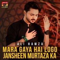 Mara Gaya Hai Logo Jansheen Murtaza Ka - Single