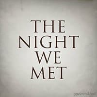 The Night We Met