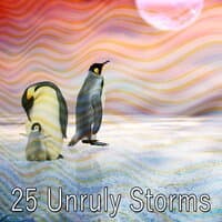 25 Unruly Storms