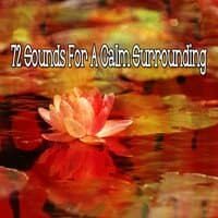 72 Sounds for a Calm Surrounding