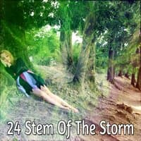 24 Stem Of The Storm