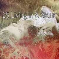 25 Living In a Storm