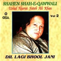 Dil Lagi Bhool Jani, Vol. 2