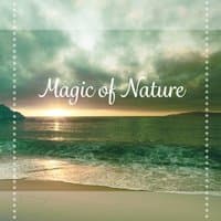 Magic of Nature – The Greatest Relaxing Music for Spa, Massage, Wellness Treatments, Calming Sounds of Nature, Pure Massage, Deep Relax