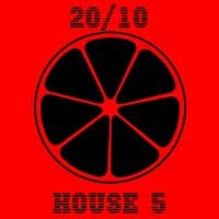 20/10 House, Vol. 5