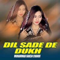 Dil Sade De Dukh