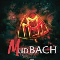 Mudbach