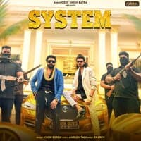 System