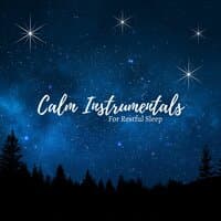 Calm Instrumentals For Restful Sleep