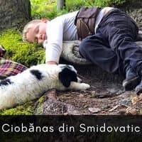 Ciobănaș Din Smidovatic