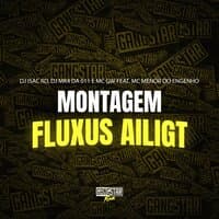 Montagem Fluxus Ailigt