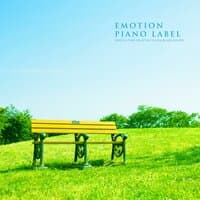 Beautiful Piano Collection For Healing And Recovery