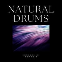 Natural Drums