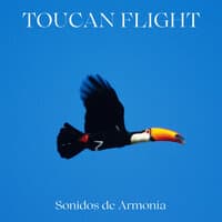 Toucan Flight