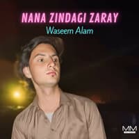 Nana Zindagi Zaray