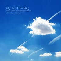 Fly in the sky