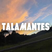 Talamantes