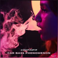 Сar Bass Phenomenon