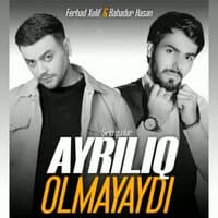 Ayrılıq Olmayaydı