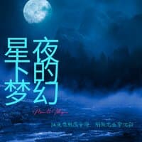 星夜下的梦幻