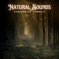 Natural Sounds