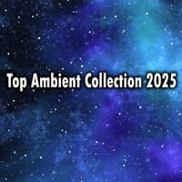 Top Ambient Collection 2025