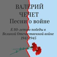 Бери шинель, пошли домой