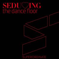 Seducing the Dancefloor, Vol. 13