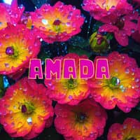 Amada