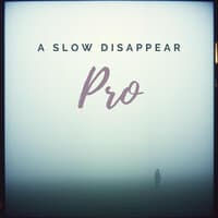 A Slow Disappear