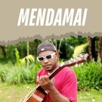 MENDAMAI