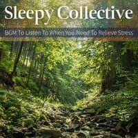 Sleepy Collective