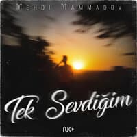 Tek Sevdigim