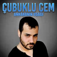 Ankaranın Uşağı