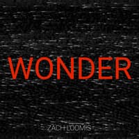 Wonder