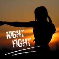 Night Fight