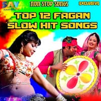 Top 12 Fagan Slow HIt Songs