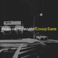 Кеды на проводах