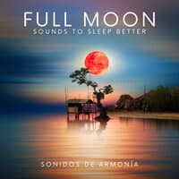 Full Moon Sounds To Sleep Better