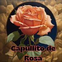 Capullito de Rosa