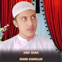 Shahid Asadullah