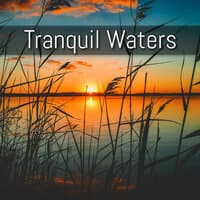 Tranquil Waters