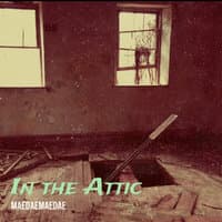 In the Attic