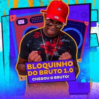 Bloquinho do Bruto