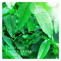 Beautiful piano collection for studying (healing music)