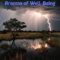 Aromas of Well-Being