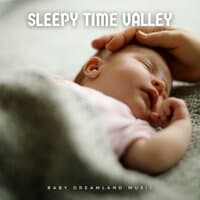 Sleepy Time Valley: Peaceful Sleep Music Babies