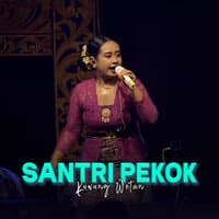 Santri Pekok