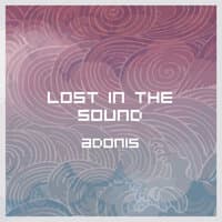 Lost in the Sound